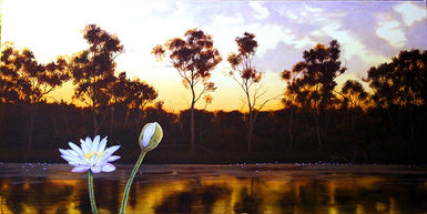 As Night Descends - Kakadu series