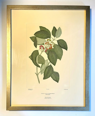 Banks Botanicals - Engraving - Was $750.00 Now $525