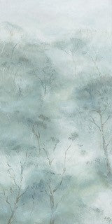 Forest Mist - Otways