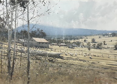 Joseph Zbukvic - Sheep Country Mansfield (More works on display in Mansfield)