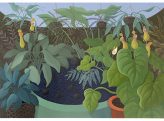 Anne Marie Graham - Tropical Foliage Over Pond 2008