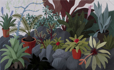 Anne Marie Graham - Glasshouse Rocks and Plants 2011