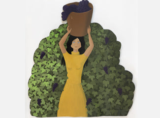 Anne Marie Graham - Shaped Board - Bucket of Grapes 2014