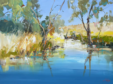 Craig Penny - Summer Water, Western District
