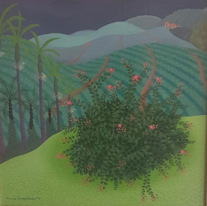 Anne Marie Graham - Pineapple Farm Queensland 1999