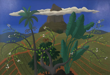 Anne Marie Graham - Pineapple Farm with Clouds 2009